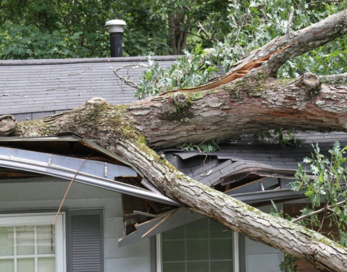 Storm-damaged roof from a fallen tree impacting a home in the Akron & Cleveland area